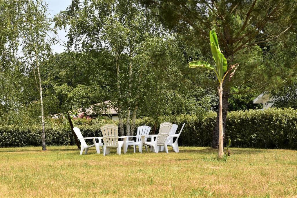 Vila Calm House, Swimming Pool And Garden Bénesse-Maremne Exteriér fotografie